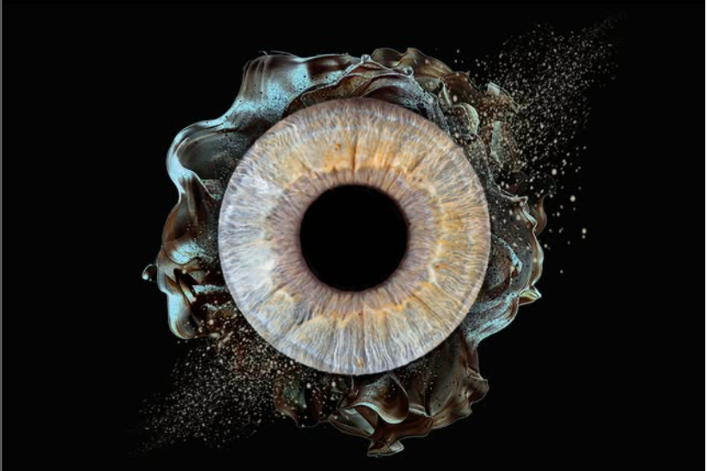 Collection iris